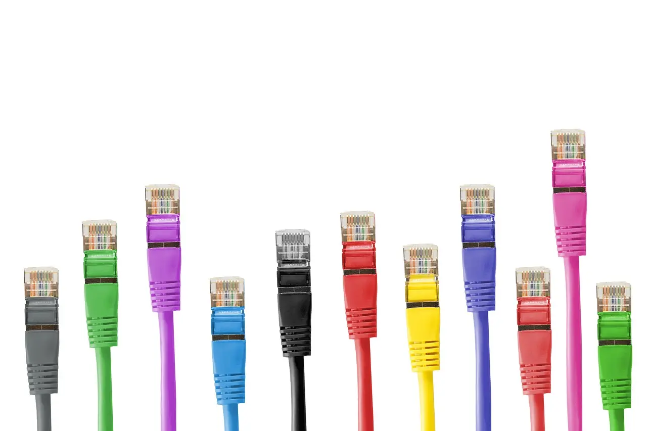 Network cable plugs in different colours standing against a white background